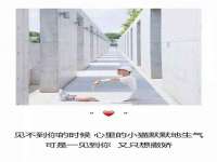 北京辉夜鼎网络科技有限公司
