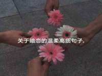 北京辉夜鼎网络科技有限公司