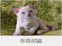 北京辉夜鼎网络科技有限公司