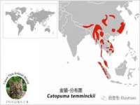 北京辉夜鼎网络科技有限公司