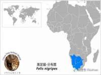 北京辉夜鼎网络科技有限公司