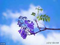 北京辉夜鼎网络科技有限公司