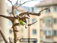 北京辉夜鼎网络科技有限公司