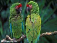 北京辉夜鼎网络科技有限公司