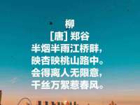 北京辉夜鼎网络科技有限公司