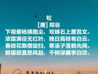 北京辉夜鼎网络科技有限公司