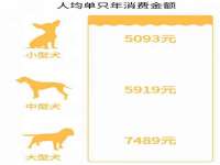 北京辉夜鼎网络科技有限公司