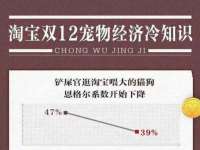 北京辉夜鼎网络科技有限公司