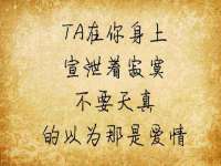 北京辉夜鼎网络科技有限公司