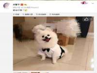 北京辉夜鼎网络科技有限公司