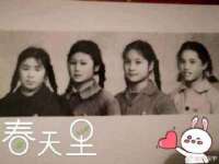 北京辉夜鼎网络科技有限公司