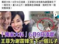 北京辉夜鼎网络科技有限公司