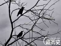 北京辉夜鼎网络科技有限公司