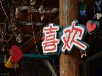北京辉夜鼎网络科技有限公司