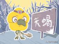 北京辉夜鼎网络科技有限公司