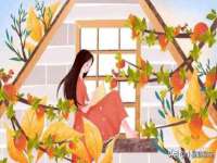 北京辉夜鼎网络科技有限公司