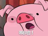 北京辉夜鼎网络科技有限公司
